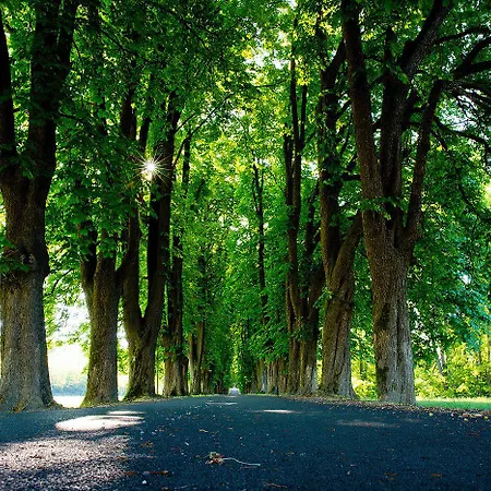 Carolina Курортный комплекс Castelletto d'Orba